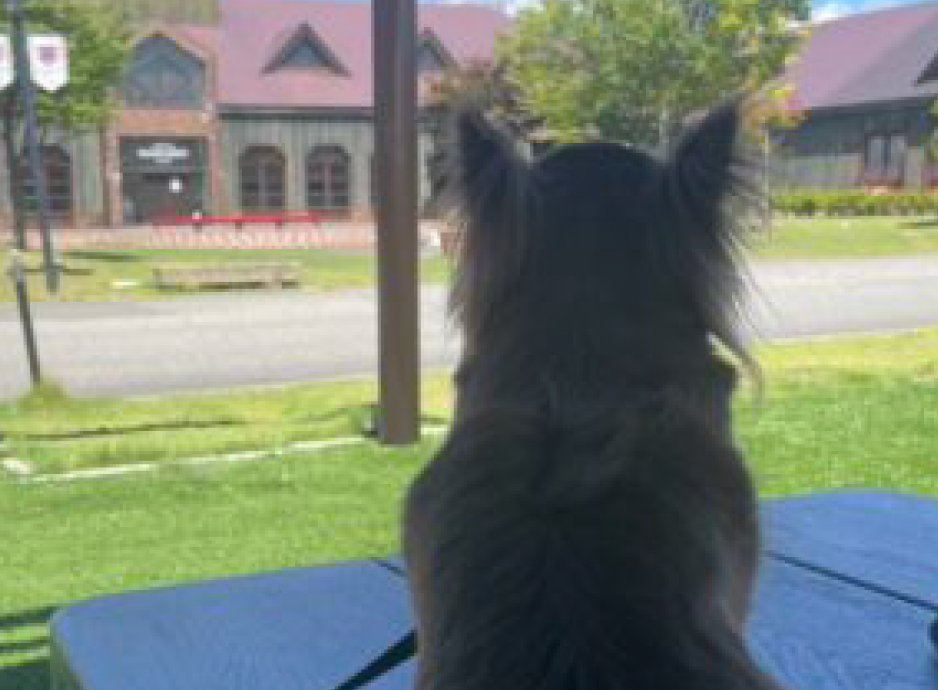 株式会社Wac　１　総合職