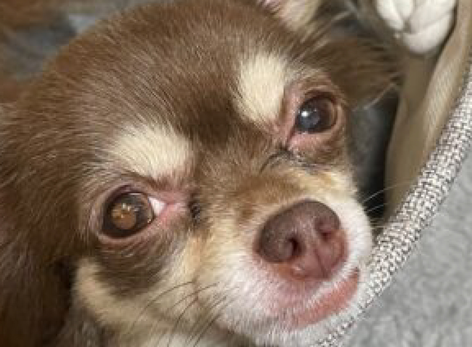 株式会社Wac　３  会津　正職員