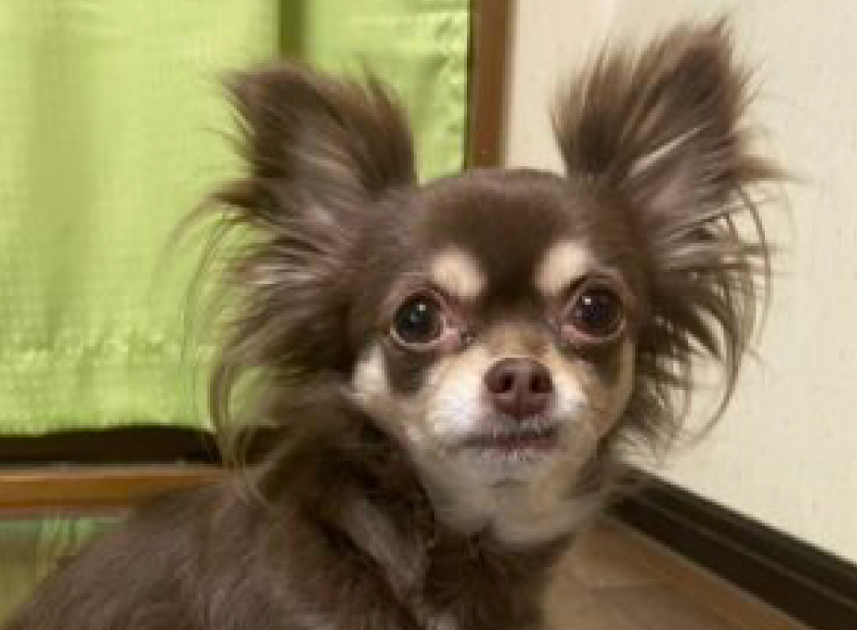 株式会社Wac　5　喜多方　パート　