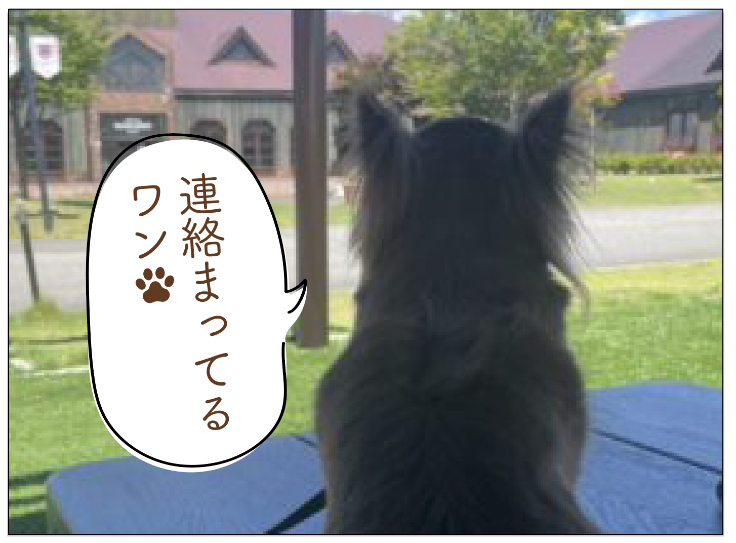 株式会社Wac　４　会津　パート